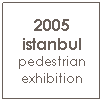 Text Box: 2005 istanbul
pedestrian exhibition
