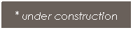 Text Box: * under construction
